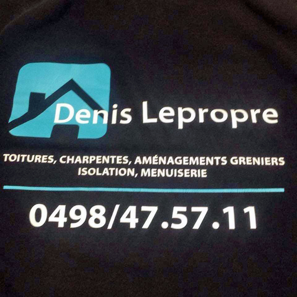 Toiture Denis Lepropre