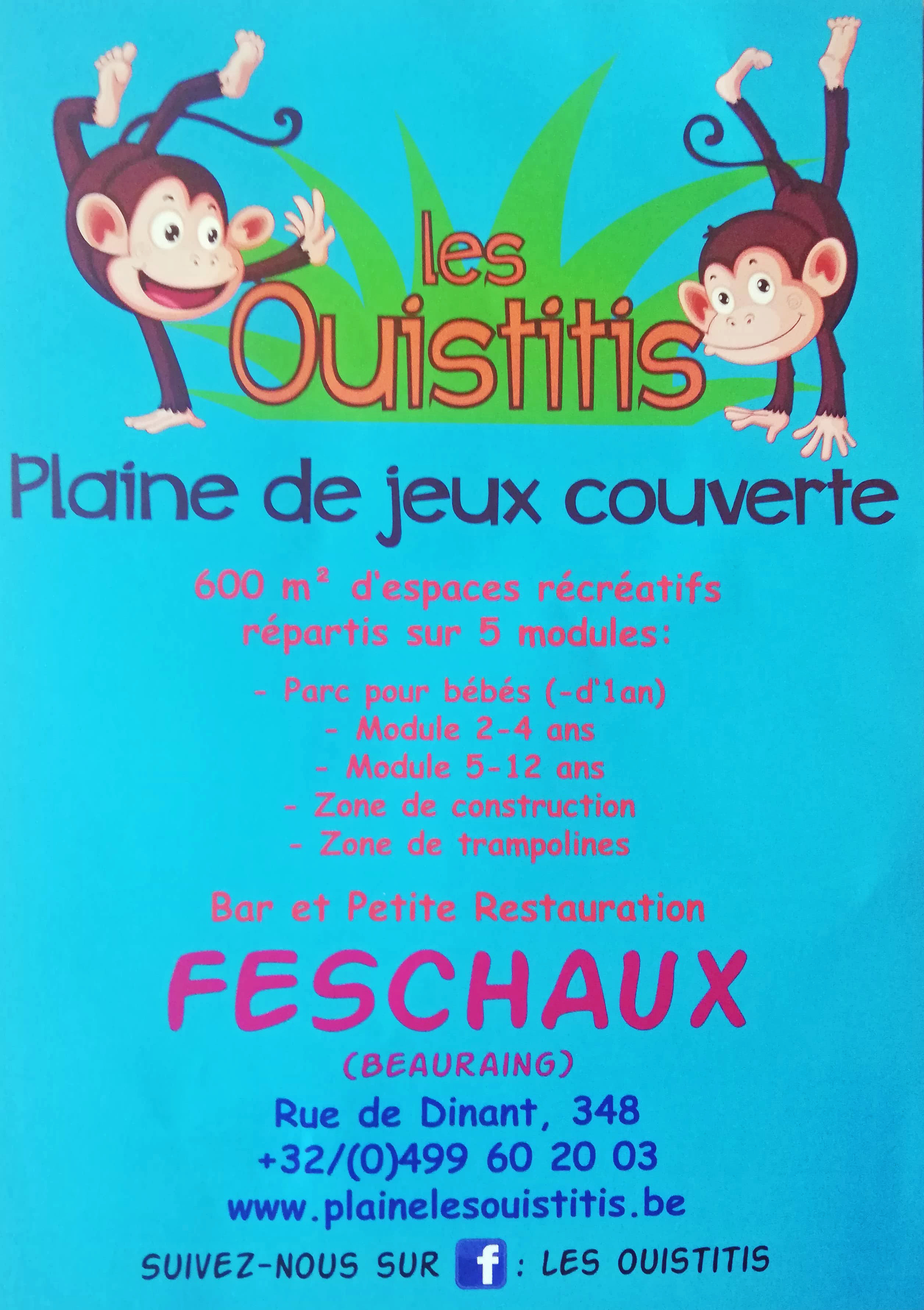 Plaine de jeu les Ouistitis