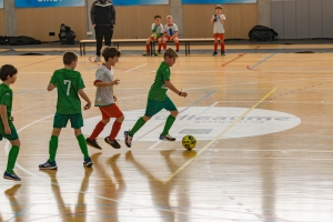 _MG_6491.jpg